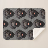 Labradoodle Black Dog Sherpadecke (Vorderseite (Horizontal))