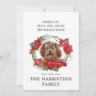 Labradoodle braun Wasserfarbe Poinsettia Weihnacht Feiertagskarte