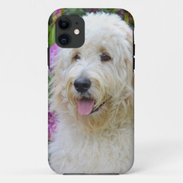 Labradoodle Case-Mate iPhone Hülle