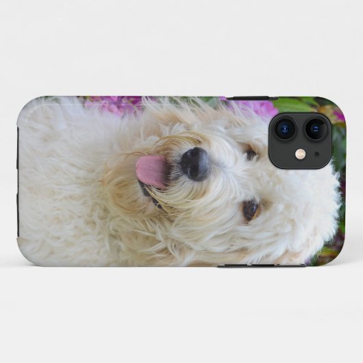 Labradoodle Case-Mate iPhone Hülle (Rückseite (Horizontal))