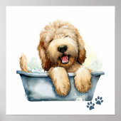 Labradoodle Dog Poster (Vorne)