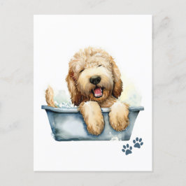 Labradoodle Dog Postkarte