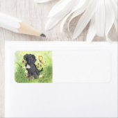 Labradoodle Doodle Doodle Hund / Rücksendeadresse (Insitu)