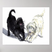 Labradoodle Doodle Poster (Vorne)