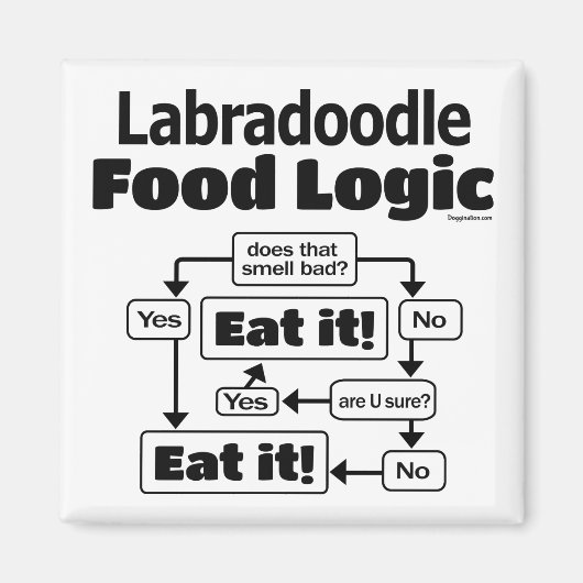 Labradoodle Food Logic Magnet (Vorne)