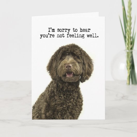 Labradoodle Get Well Card Karte (Vorderseite)