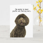 Labradoodle Get Well Card Karte (Gelbe Blume)