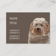 Labradoodle Goldendoodle Poodle Dog Haustier