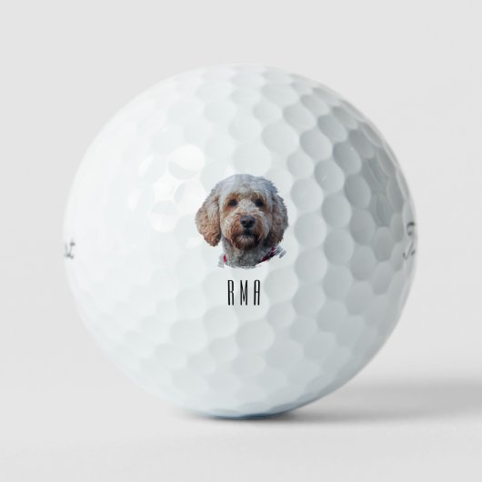 Labradoodle Golfball (Vorderseite)