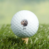 Labradoodle Golfball (Insitu T-Shirt)