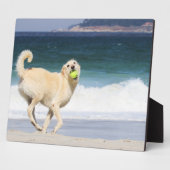 Labradoodle - Happy Day on Beach Fotoplatte (Seite)
