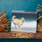 Labradoodle - Happy Day on Beach Fotoplatte (Seite)