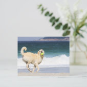 Labradoodle - Happy Day on Beach Postkarte (Stehend Vorderseite)