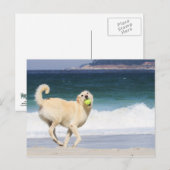 Labradoodle - Happy Day on Beach Postkarte (Vorne/Hinten)
