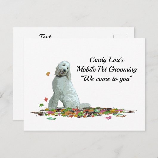 Labradoodle Hund in Blätter Postkarte (Vorne/Hinten)