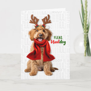 Labradoodle Hund Lustige Flöhe Navidog Weihnachten