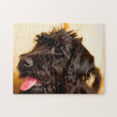 Labradoodle Hund. Puzzle (Horizontal)