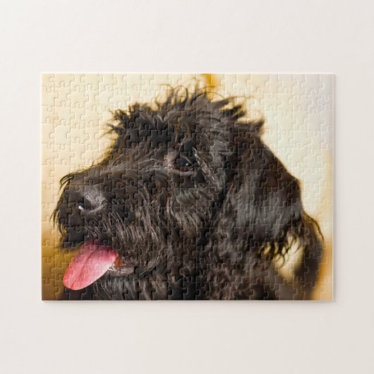 Labradoodle Hund. Puzzle (Horizontal)