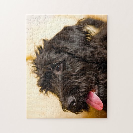 Labradoodle Hund. Puzzle (Vertikal)