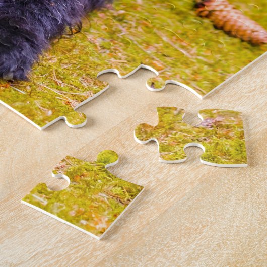 Labradoodle Hund. Puzzle (Seite)