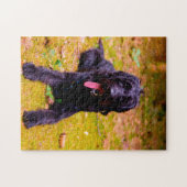 Labradoodle Hund. Puzzle (Horizontal)