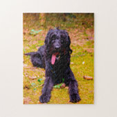 Labradoodle Hund. Puzzle (Vertikal)