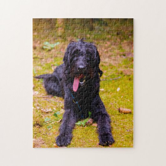 Labradoodle Hund. Puzzle (Vertikal)