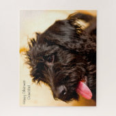 Labradoodle Hund. Puzzle (Vertikal)