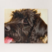 Labradoodle Hund. Puzzle (Horizontal)