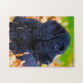 Labradoodle Hund. Puzzle (Horizontal)