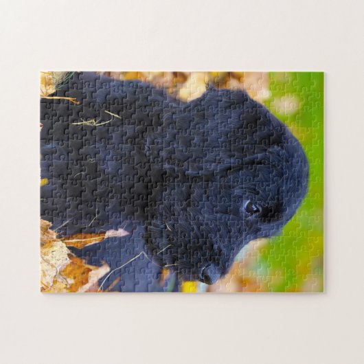 Labradoodle Hund. Puzzle (Horizontal)