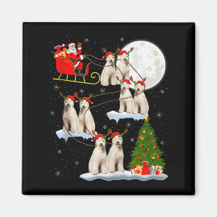 Labradoodle Hund Santa Schlitten Fliegend Lustig M Magnet