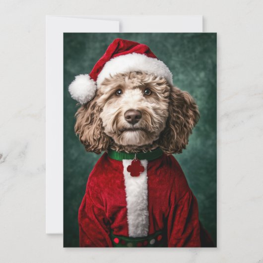 Labradoodle im Weihnachtsfest Einladung (Vorderseite)