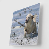 Labradoodle - Izzie Quadratische Wanduhr (Winkel)