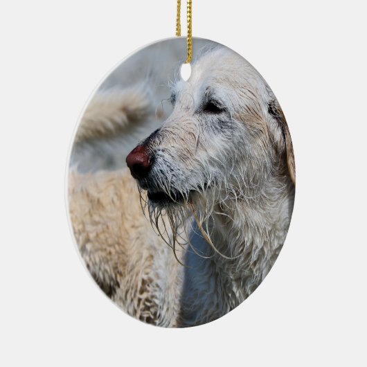 Labradoodle - Izzy Keramik Ornament (Rechts)