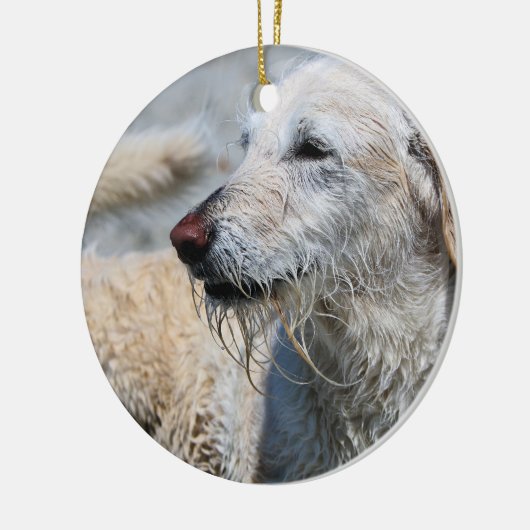 Labradoodle - Izzy Keramik Ornament (Links)