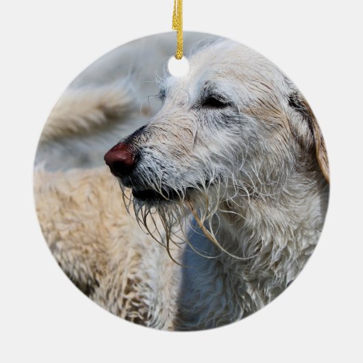 Labradoodle - Izzy Keramik Ornament (Hinten)