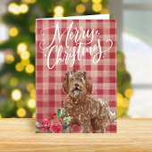 Labradoodle Karierte Weihnachten