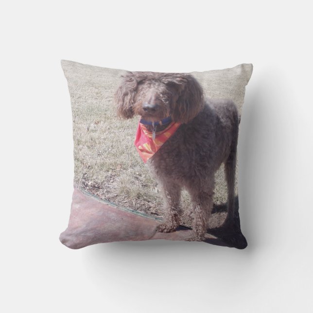 labradoodle Kissen (Vorderseite)