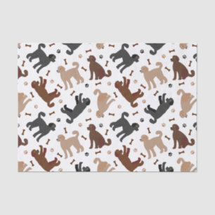 Labradoodle Knochen und Paare Seidenpapier
