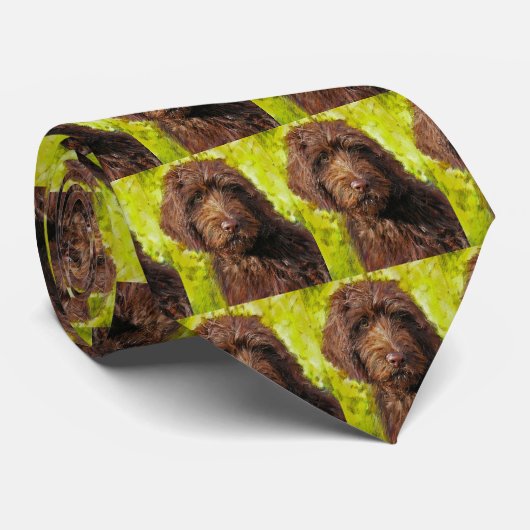 labradoodle Krawatte (Gerollt)