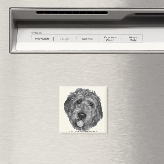 Labradoodle Magnet (In Situ (Geschirrspüler))