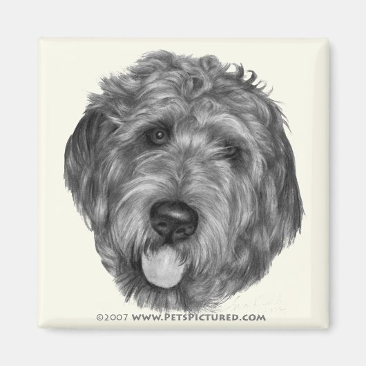 Labradoodle Magnet (Vorne)