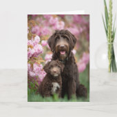 Labradoodle Mama Muttertag Liebe Karte (Vorderseite)