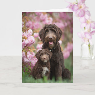 Labradoodle Mama Muttertag Liebe Karte
