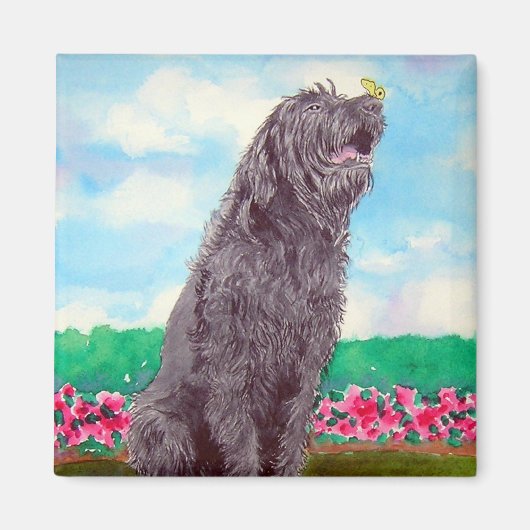 Labradoodle mit Butterfly Magnet (Vorne)