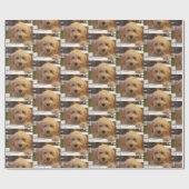 labradoodle Packpapier (Flach)