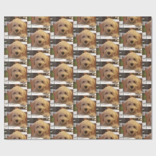 labradoodle Packpapier (Flach)
