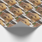 labradoodle Packpapier (Ecke)