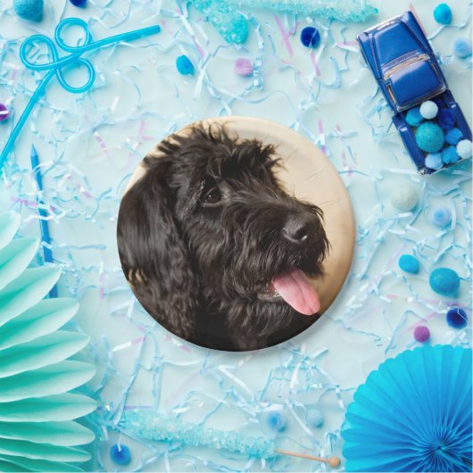 Labradoodle Paper Teller, 7 Zoll Pappteller (Party)